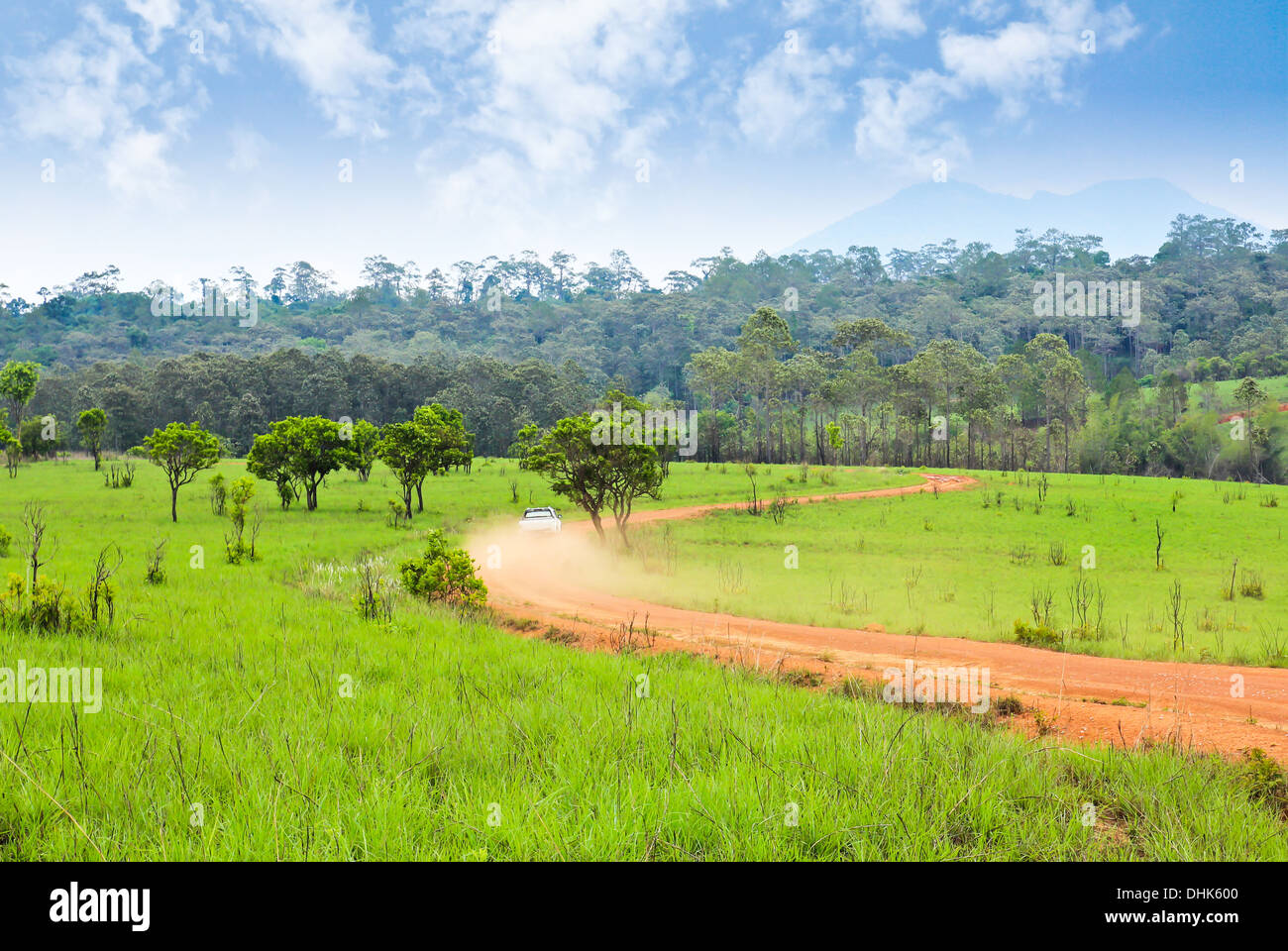 Campo di erba ,su strada e cielo blu Foto Stock