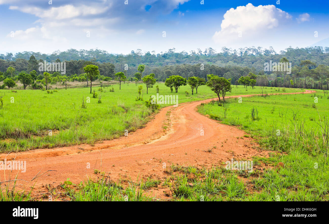 Campo di erba ,su strada e cielo blu Foto Stock
