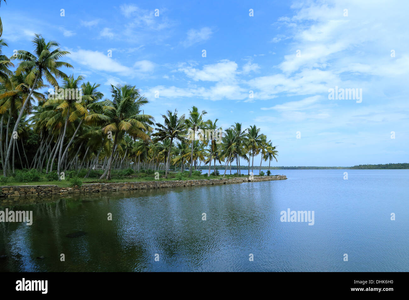 Isola del lago, Kerala, India Foto Stock