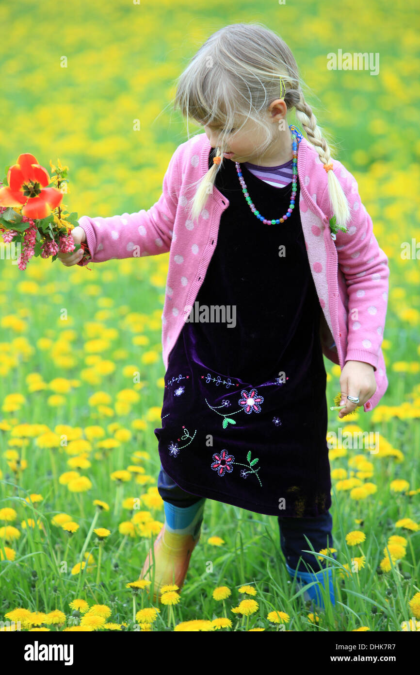 Una bambina su dandelions campo bambino Foto Stock