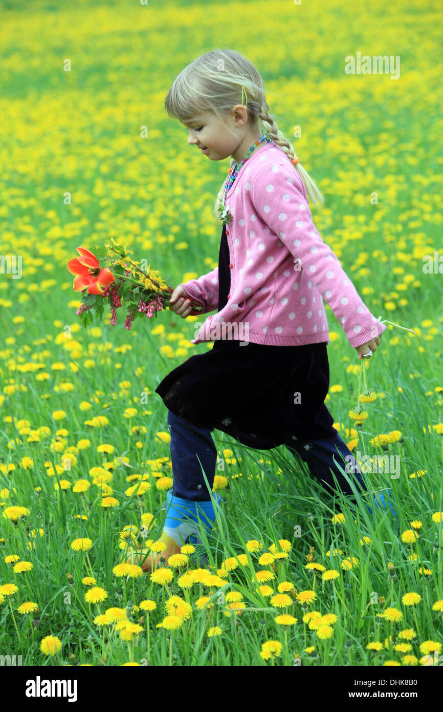 Una bambina sul campo di tarassaco, Repubblica Ceca, Europa Foto Stock