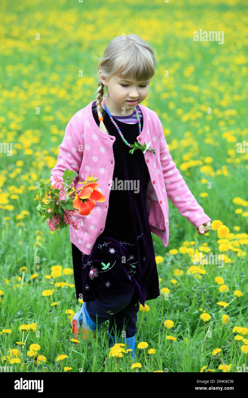 Bambina sul campo di tarassaco, Repubblica Ceca, Europa Foto Stock