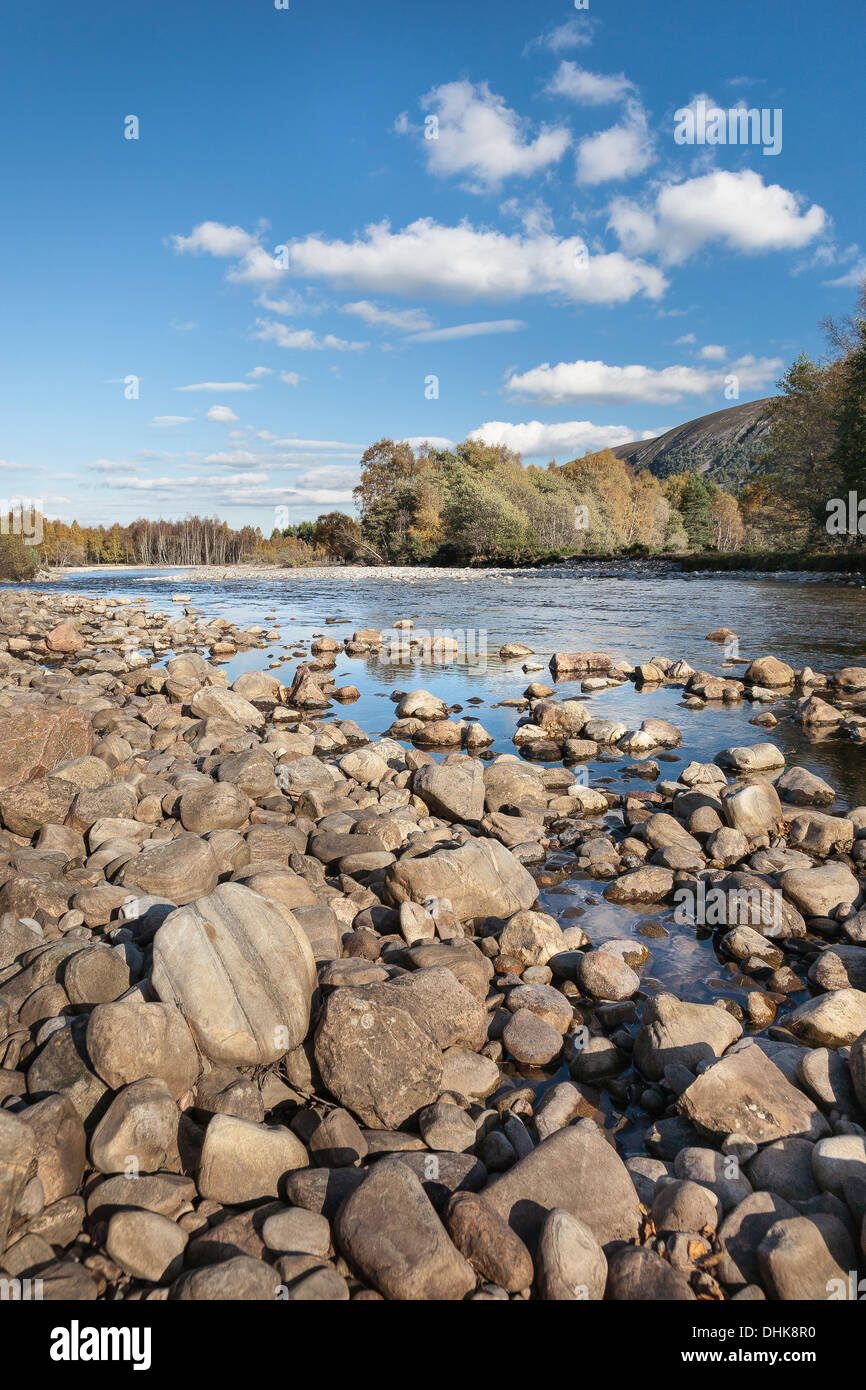 Fiume Feshie in Glen Feshie,Cairngorm national park in Scozia. Foto Stock