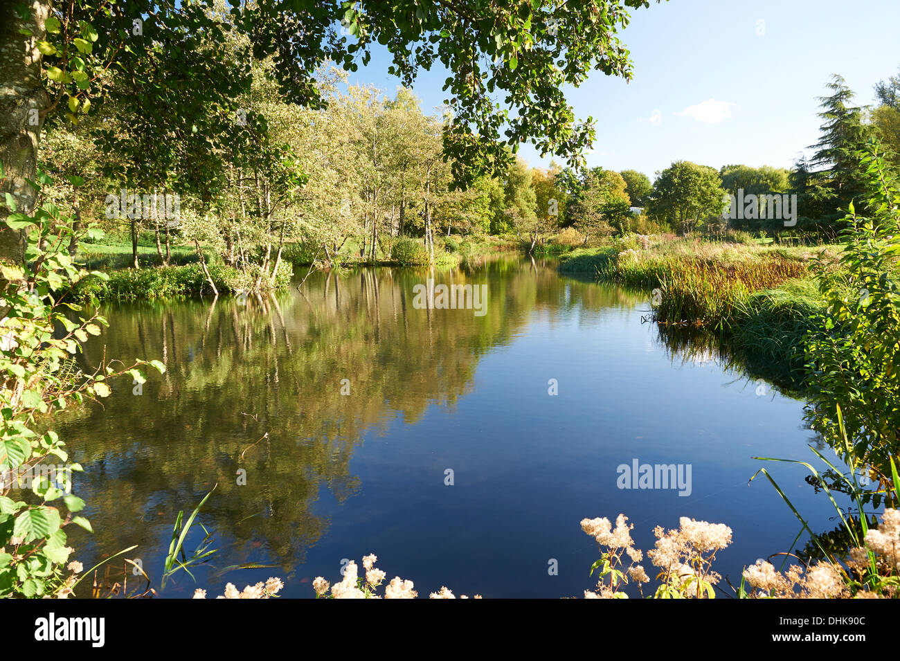 British panorama di alberi e laghi Foto Stock