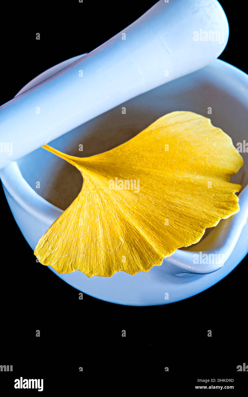 Il Ginkgo biloba, medicina cinese tree, mortaio con foglie Foto Stock