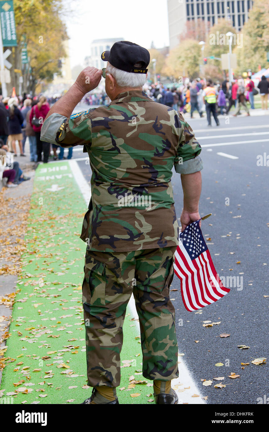 Sacramento, California, Stati Uniti d'America. 11 novembre 2013. Veterani parata del giorno del credito di Sacramento: Chris Aschenbrener/Alamy Live News Foto Stock