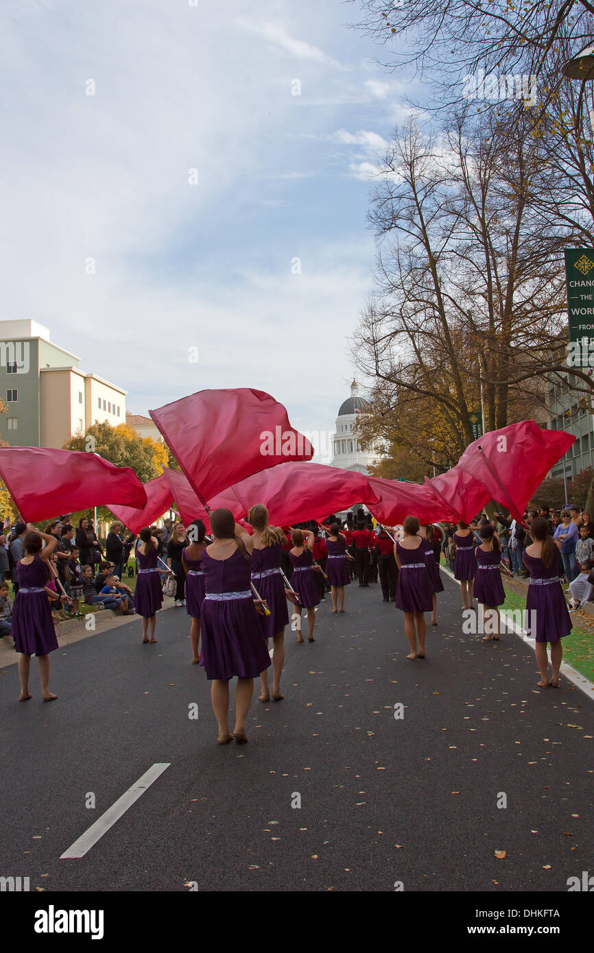Sacramento, California, Stati Uniti d'America. 11 novembre 2013. Veterani parata del giorno del credito di Sacramento: Chris Aschenbrener/Alamy Live News Foto Stock