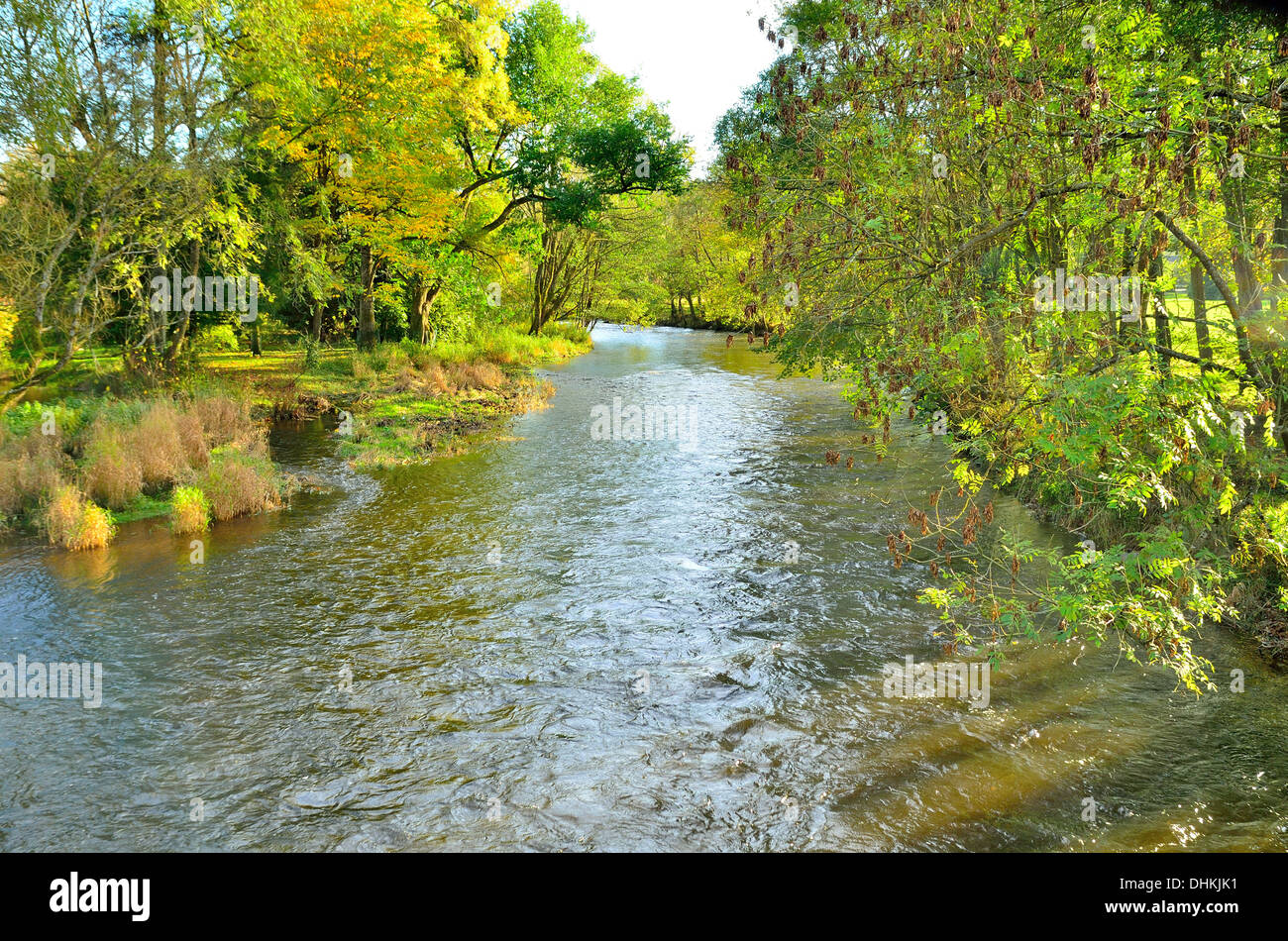 Il fiume Ourthe nel villaggio Marcourt nelle Ardenne belghe in autunno Foto Stock