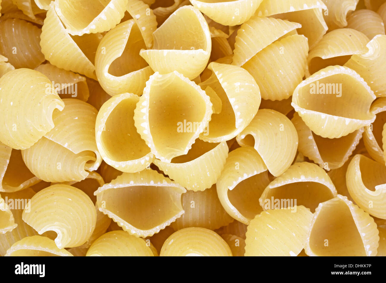 Molto vicino in vista della piccola pasta cruda gusci su uno sfondo bianco. Foto Stock