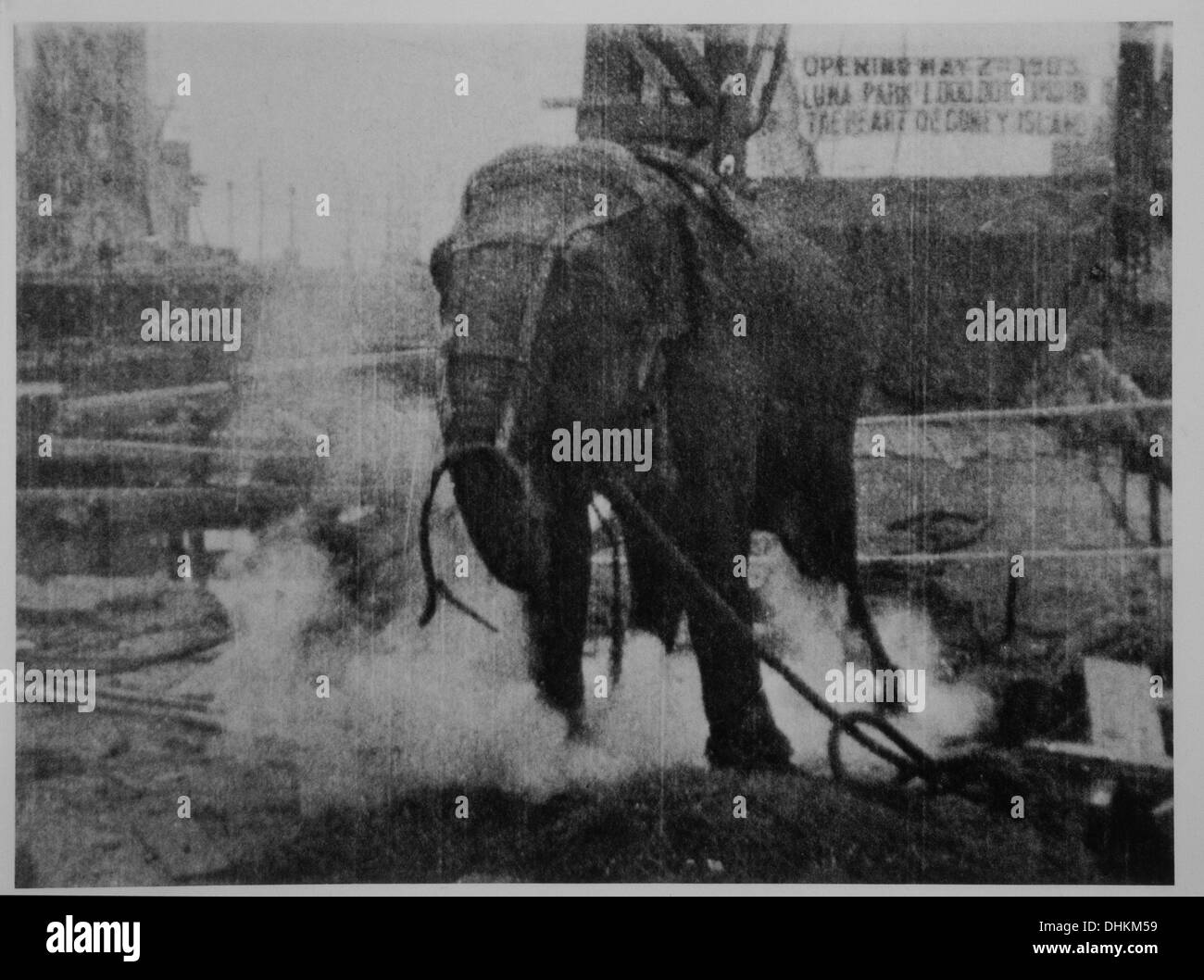 Electrocuting un elefante, Luna Park Coney Island, NY, STATI UNITI D'AMERICA, girato da Thomas Edison, 1903 Foto Stock