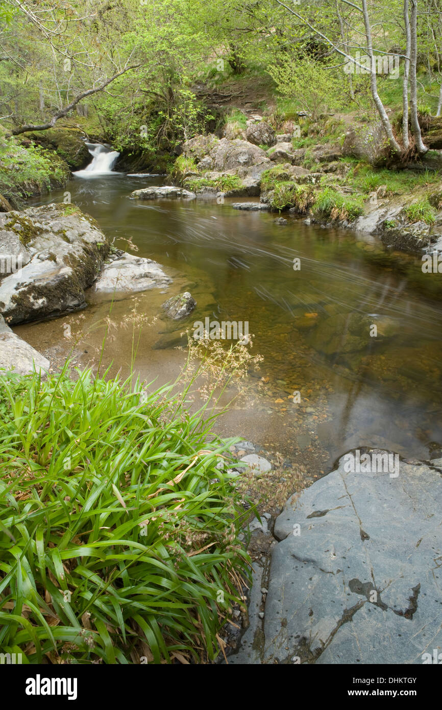 Un tranquillo paesaggio lungo Aira Beck, Cumbria come il flusso rallenta dopo una cascata e fluisce in passato alcune rocce Foto Stock