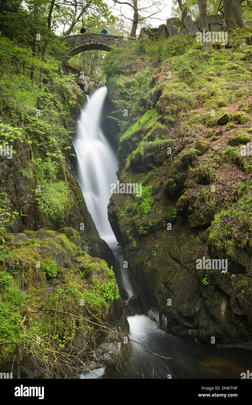 Due persone che guardano dal ponte di pietra sul Aira Force cascata, Cumbria. La molla della vegetazione sembra fresco e verdeggiante. Foto Stock