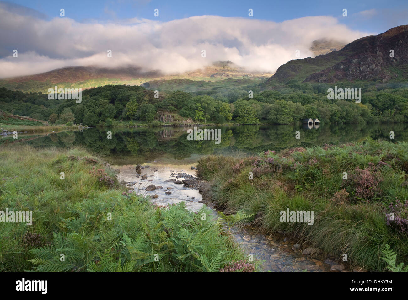 Una corrente fluisce nel Llyn Dinas, Snowdonia. Anno di Aran è illuminato dal sole di mattina ed è parzialmente oscurata da nuvole. Foto Stock