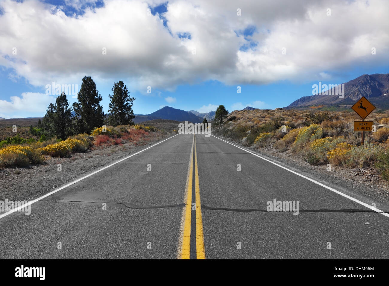 American road attraverso il deserto di New Scenic 5 posti Foto Stock