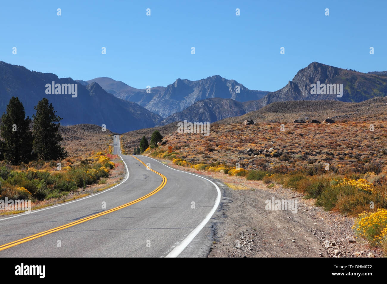 American road attraverso il deserto Foto Stock