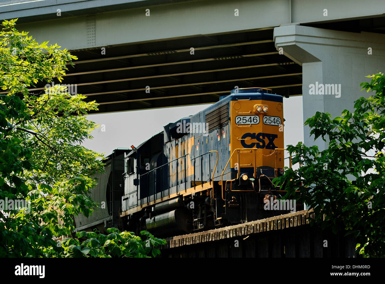 CSX treno di vetture di commutazione sul ponte Foto Stock