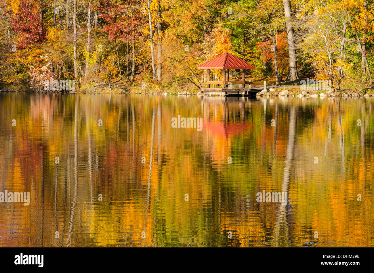 I colori dell'autunno sugli alberi che riflettono nel lago Elkhorn in Columbia, Maryland Foto Stock