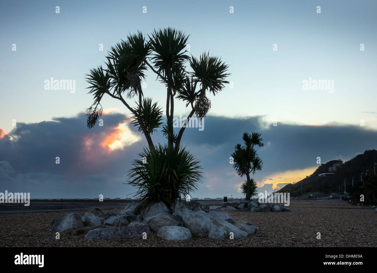 Folkestone Beach Palm Tree Tramonto Kent England Foto Stock