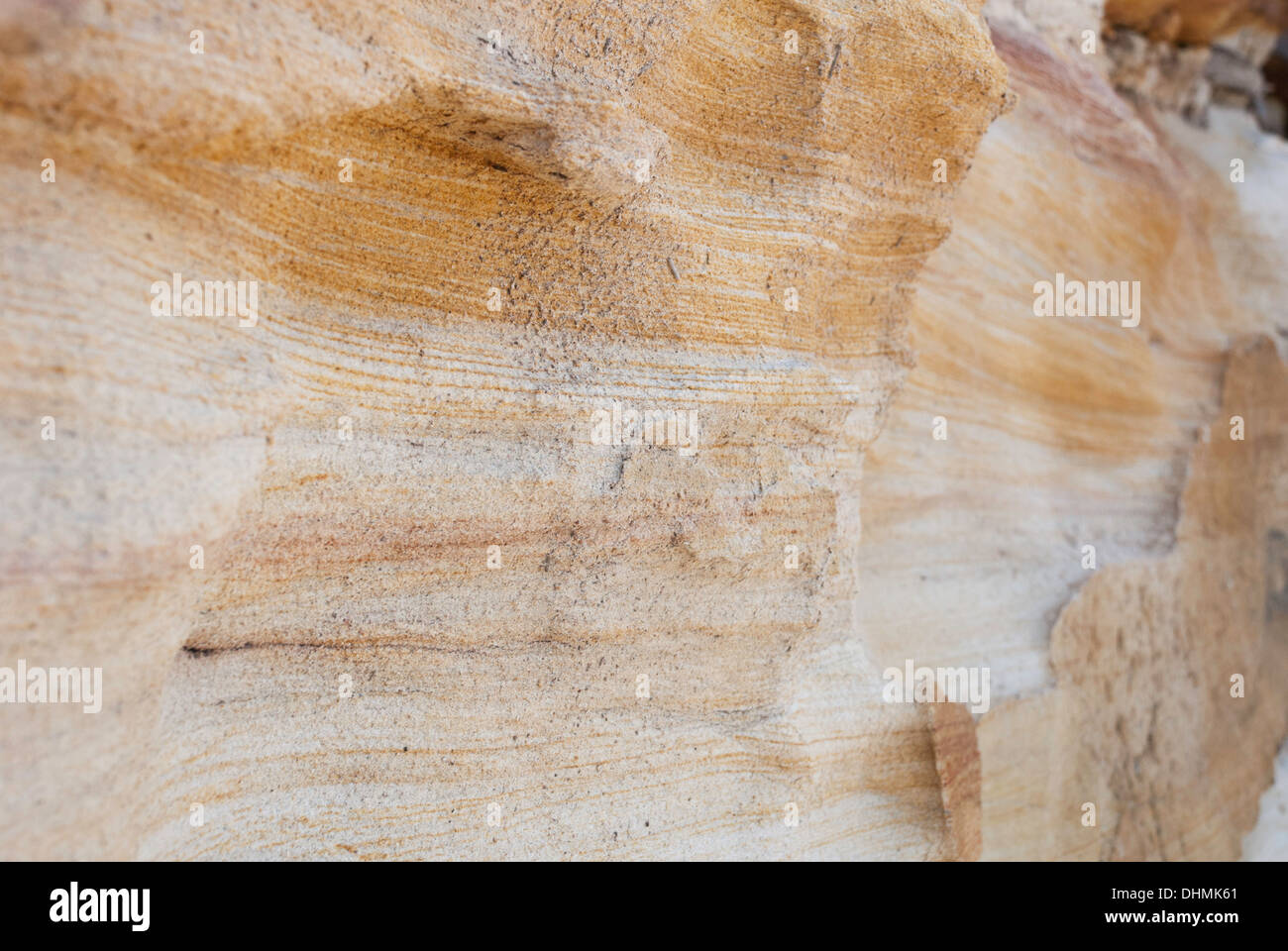 Dettaglio di roccia arenaria su Sydney Harbour beach, Australia Foto Stock