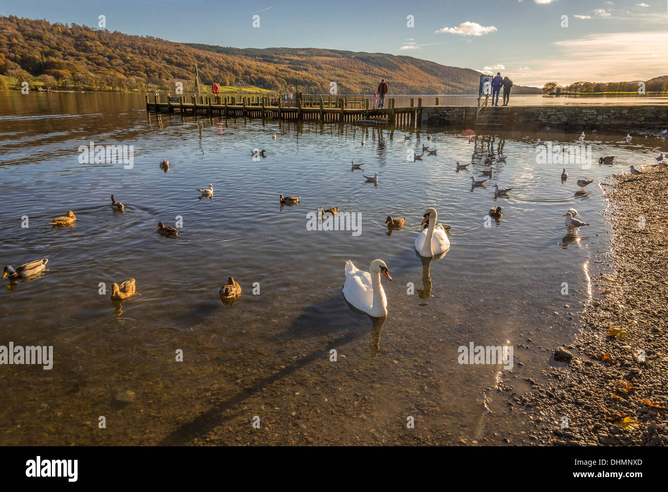 Coniston Water nel distretto del Lago di Cumbria. Calma piatta gora acqua. Foto Stock