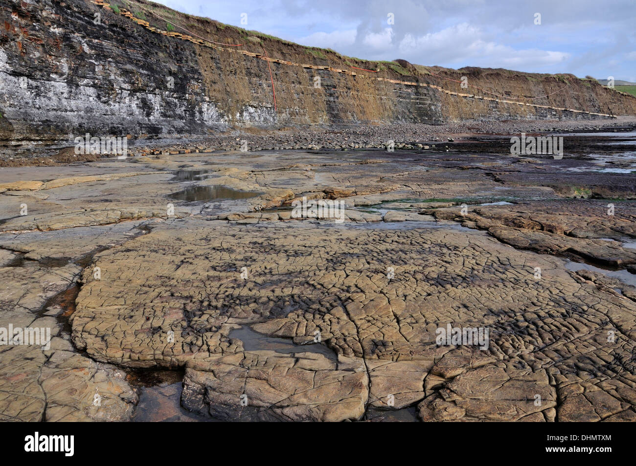 Una vista della dolomite letto a Kimmeridge Bay a bassa marea Dorset Regno Unito Foto Stock