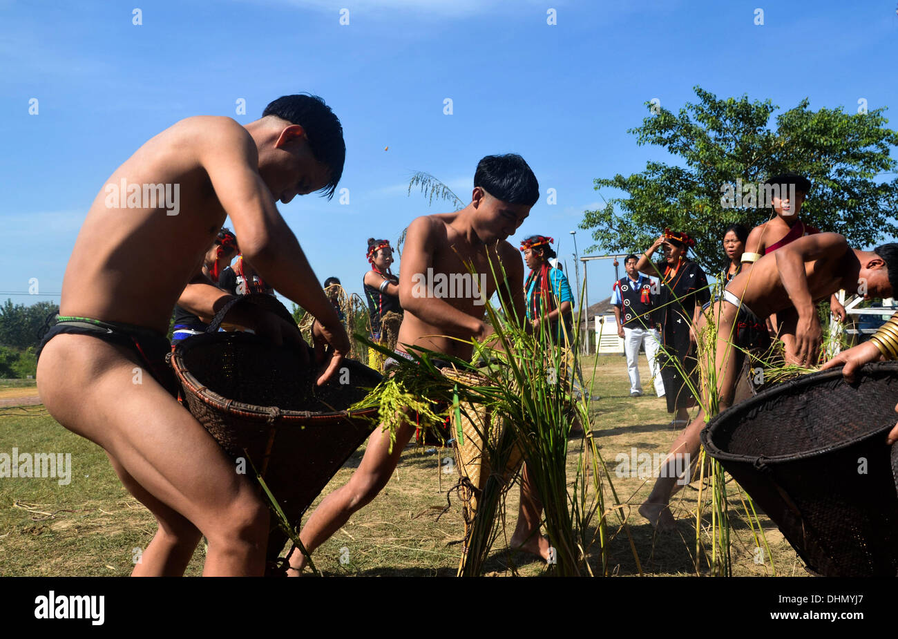 Dimapur, India. Xiii Nov, 2013. Sumi tribesmen emanare la raccolta del risone durante la celebrazione della festa Ahuna, un post harvest festival del Sumi Naga a Dimapur, India nord orientale di stato del Nagaland Mercoledì, Novembre 13, 2013. Ahuna indica la celebrazione della stagione di raccolto in rendimento di grazie e di invocare lo spirito di buona fortuna per il prossimo anno.Foto: Caisii Mao/NurPhoto Credito: Caisii Mao/NurPhoto/ZUMAPRESS.com/Alamy Live News Foto Stock