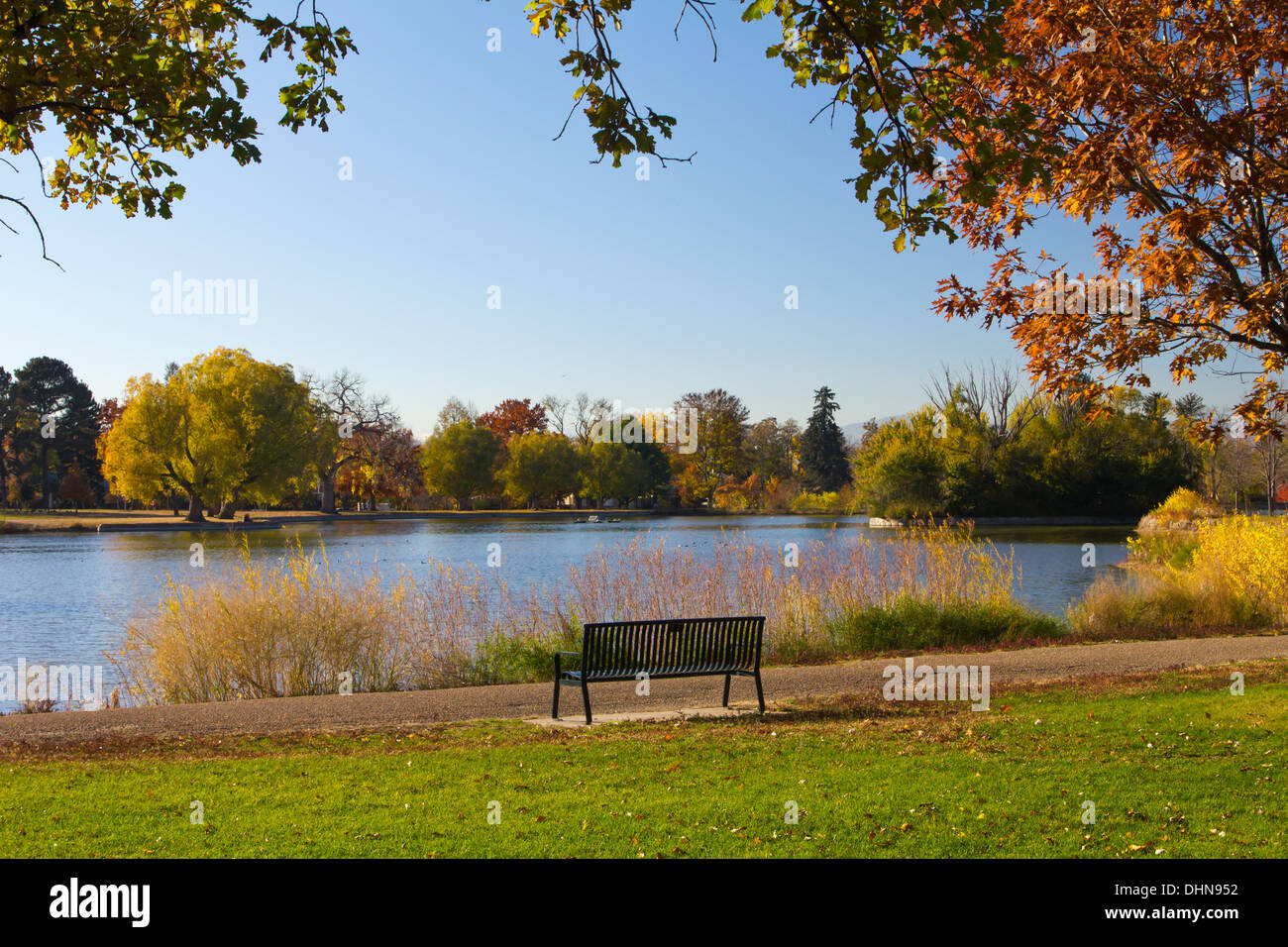 Banco vuoto sotto la caduta di alberi - Washington Park - Denver, Colorado Foto Stock