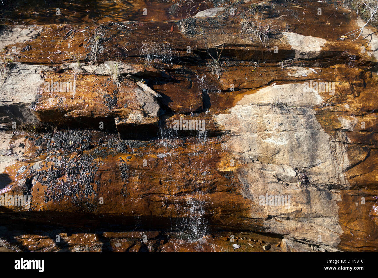 L'acqua cadono verso il basso i fogli di roccia in gole del Parco Statale di Transilvania County, North Carolina. Stati Uniti d'America Foto Stock