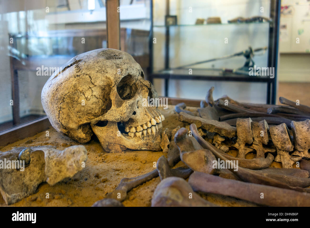 Scheletro di ussaro francese soldato a Napoleone in ultima sede HQ museo sulla battaglia di Waterloo, Vieux-Genappe, Belgio Foto Stock