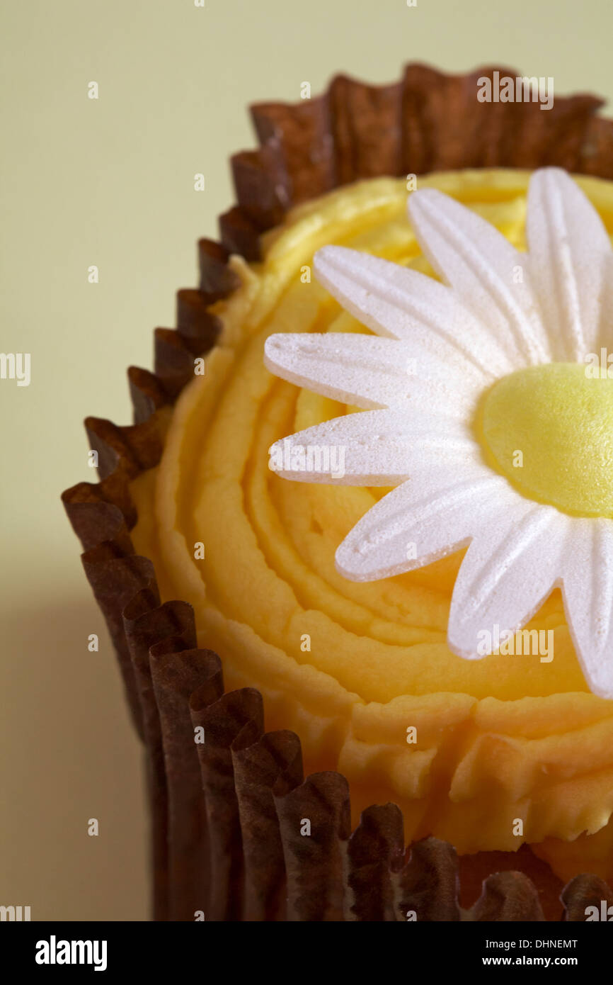 La metà di limone daisy cupcake pallido su sfondo giallo Foto Stock