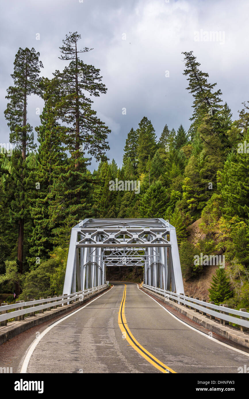 Ponte sulla forcella del sud del fiume di Anguilla su SR 1 vicino a Leggett, California; poligonale Warren attraverso la progettazione di travatura reticolare Foto Stock