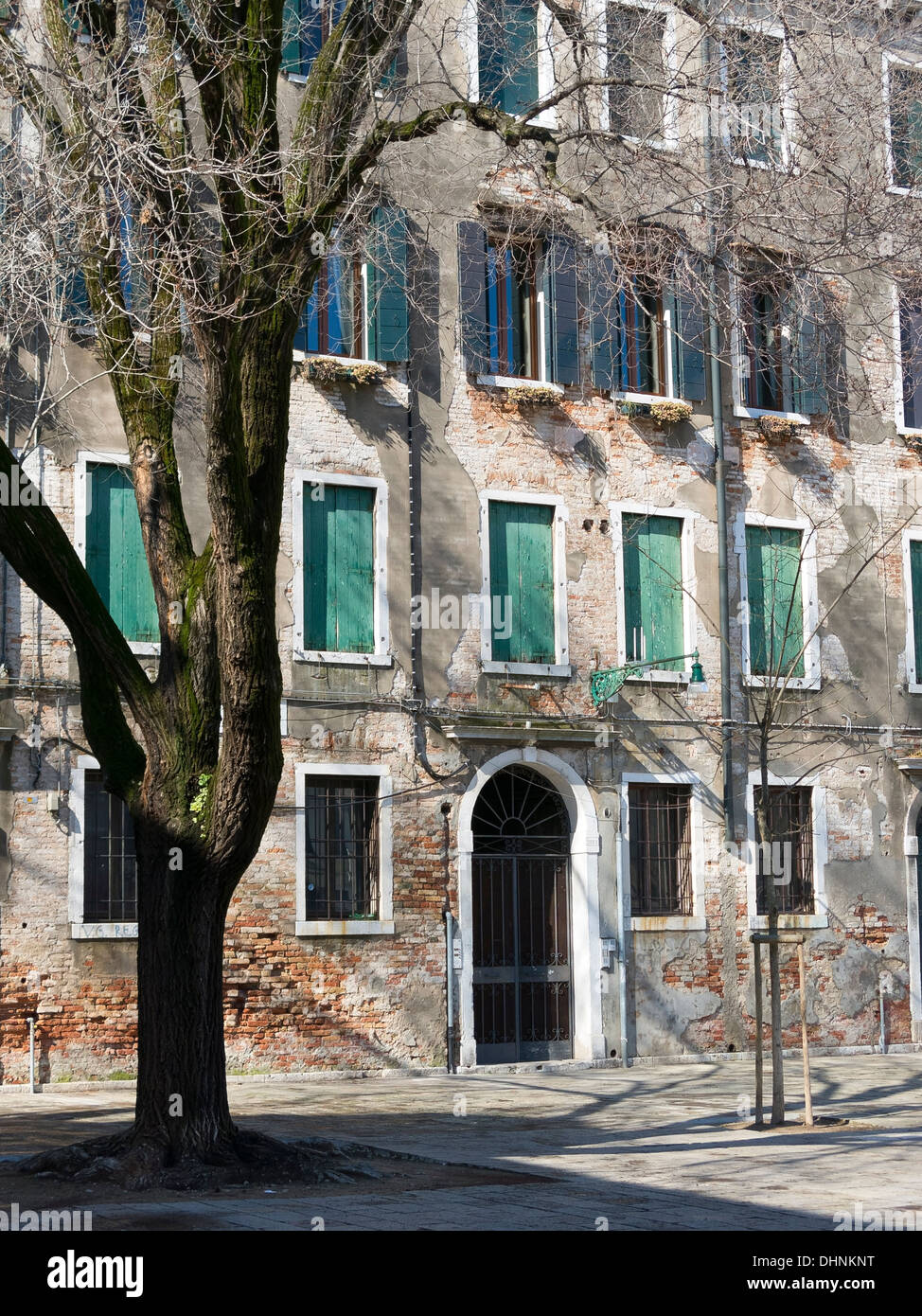 Soleggiato anteriore del vecchio edificio in pietra in piazza pavimentata con albero, Venezia, Italia Foto Stock