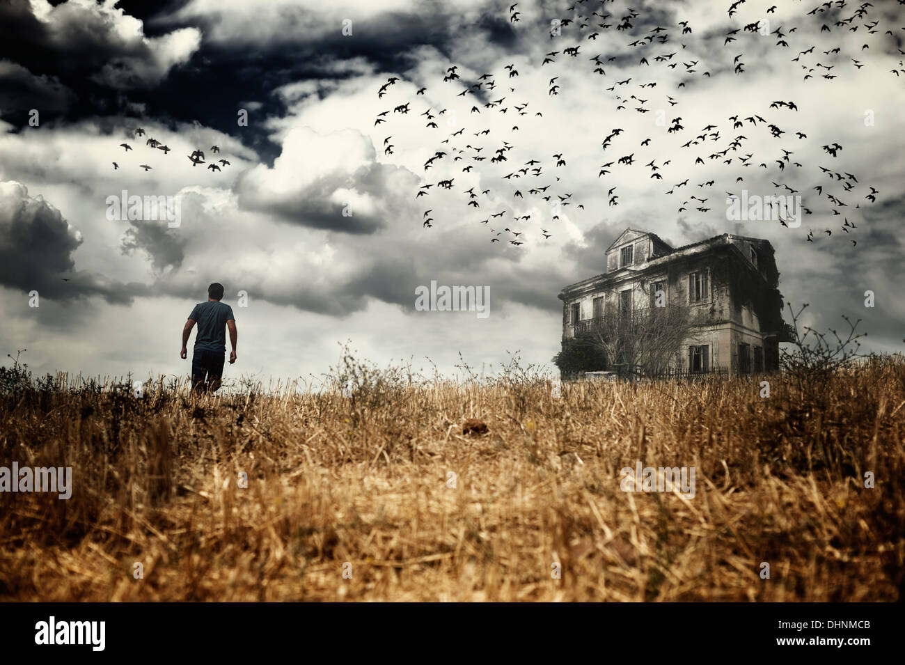Uomo che cammina in un campo verso un Haunted House Foto Stock