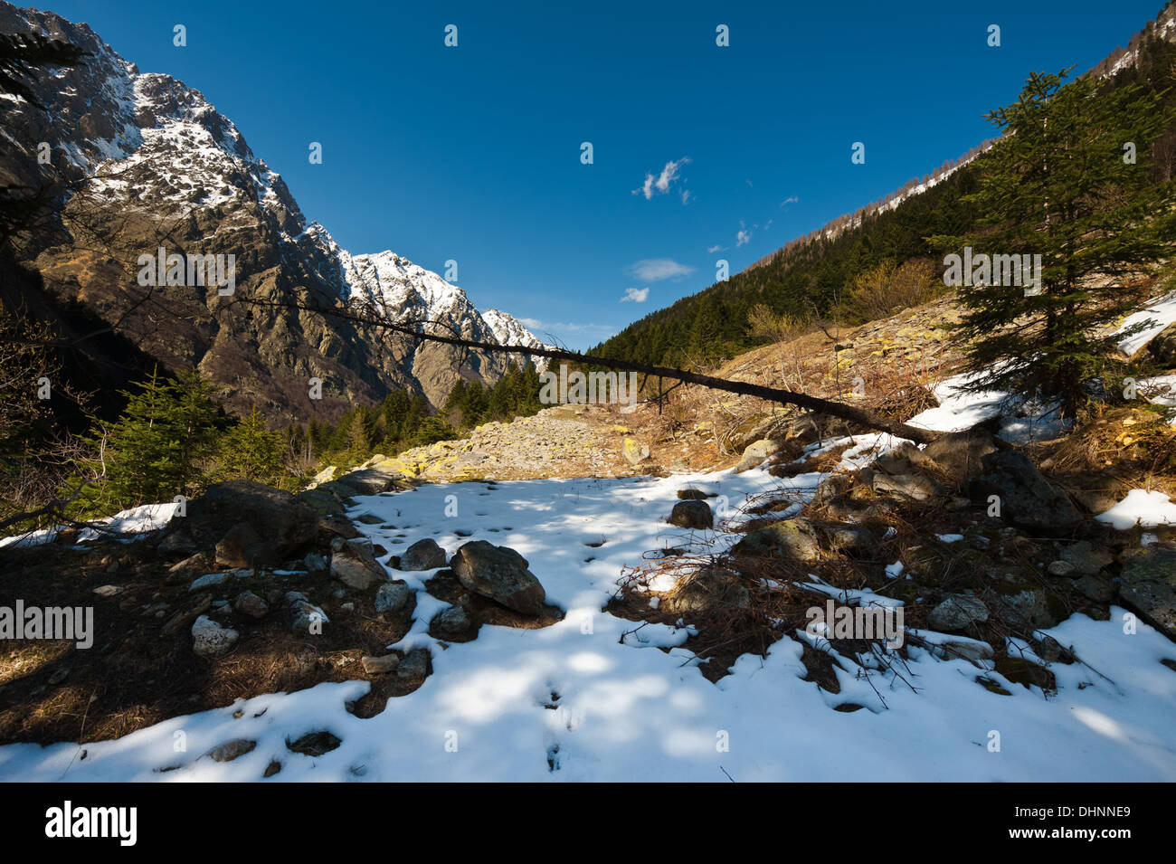 Vecchia strada Foto Stock