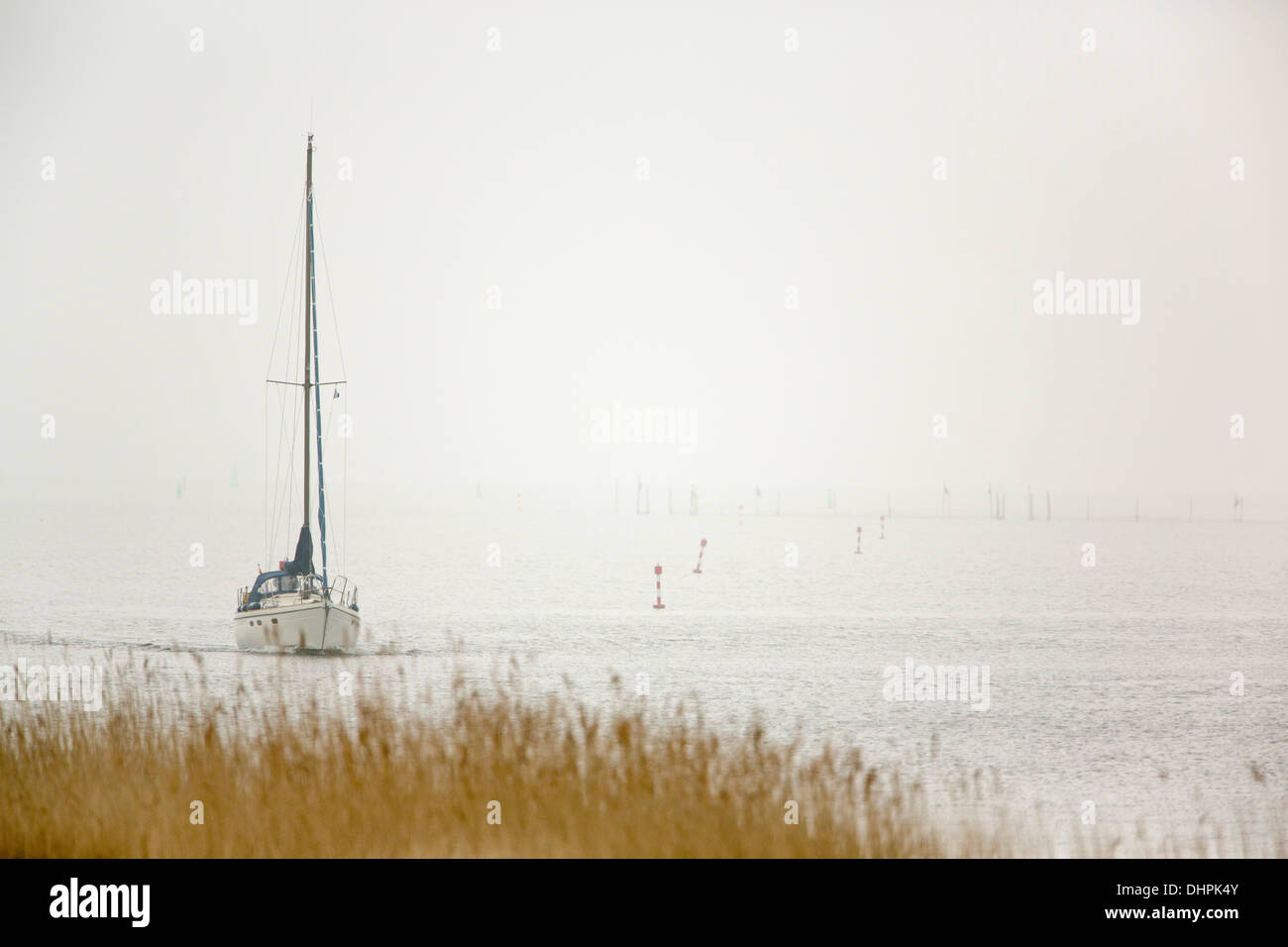 Paesi Bassi, Lelystad, chiamato lago IJsselmeer. Imbarcazione da diporto nella nebbia di mattina Foto Stock