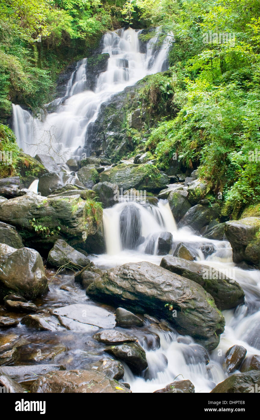 Cascata Torc, nella contea di Kerry, Irlanda Foto Stock