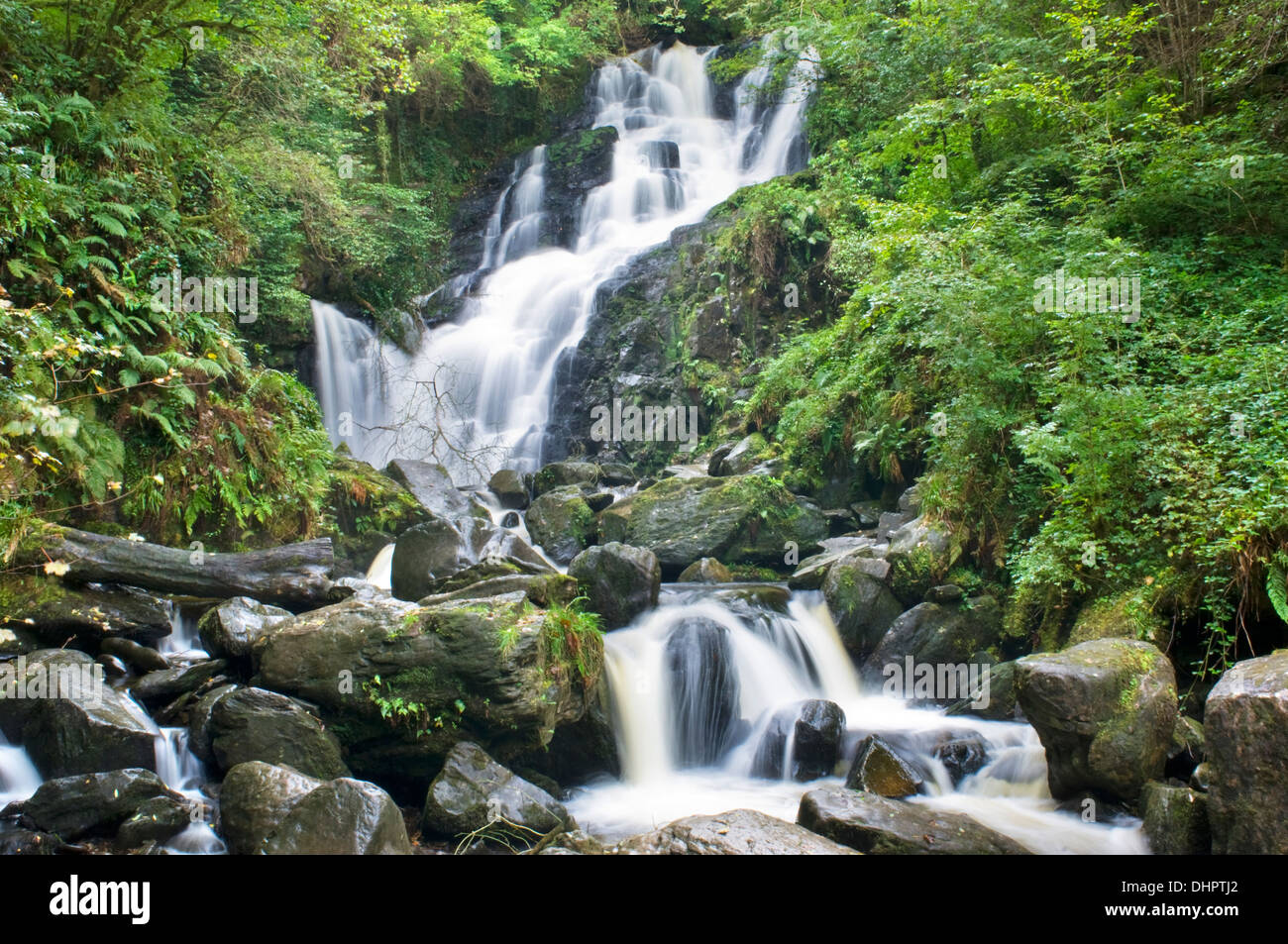 Cascata Torc, nella contea di Kerry, Irlanda Foto Stock
