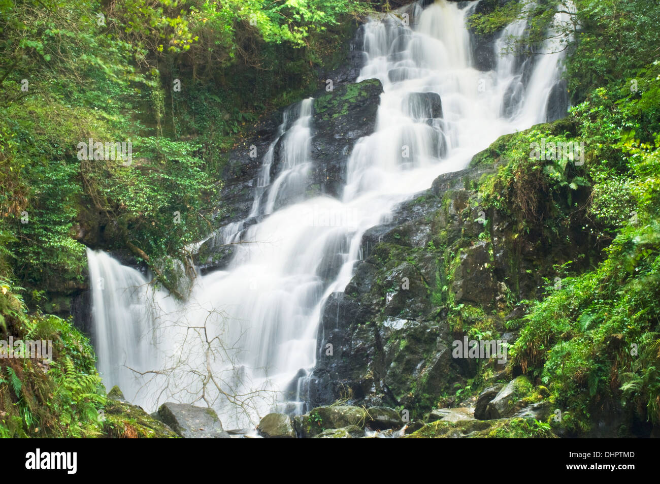 Cascata Torc, nella contea di Kerry, Irlanda Foto Stock