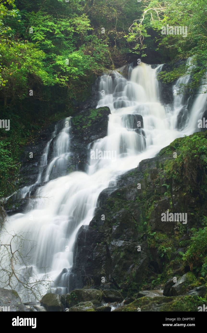 Cascata Torc, nella contea di Kerry, Irlanda Foto Stock