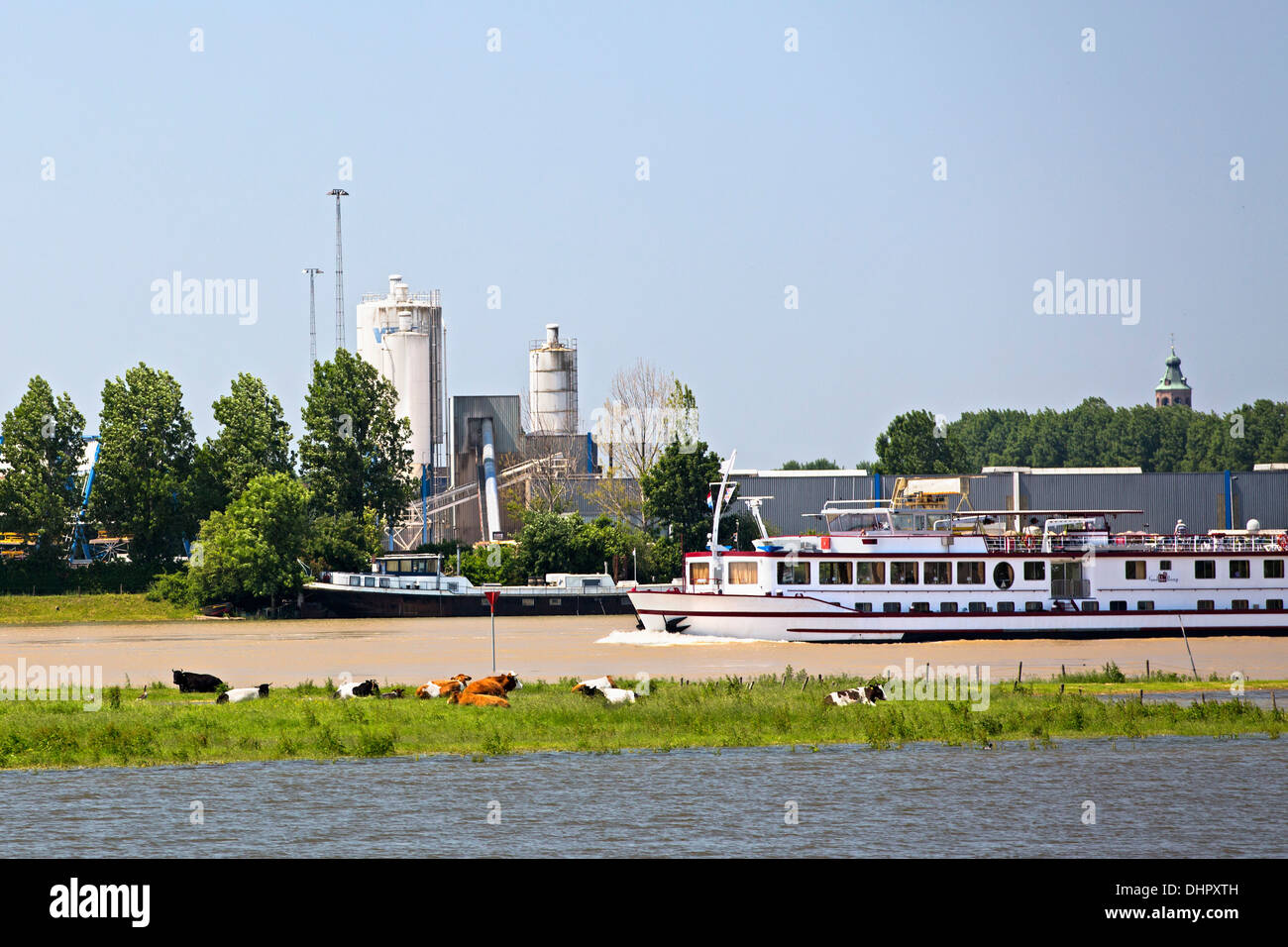 Paesi Bassi, Doornenburg, fiume IJssel. La nave di crociera e di vacche in pianure alluvionali Foto Stock