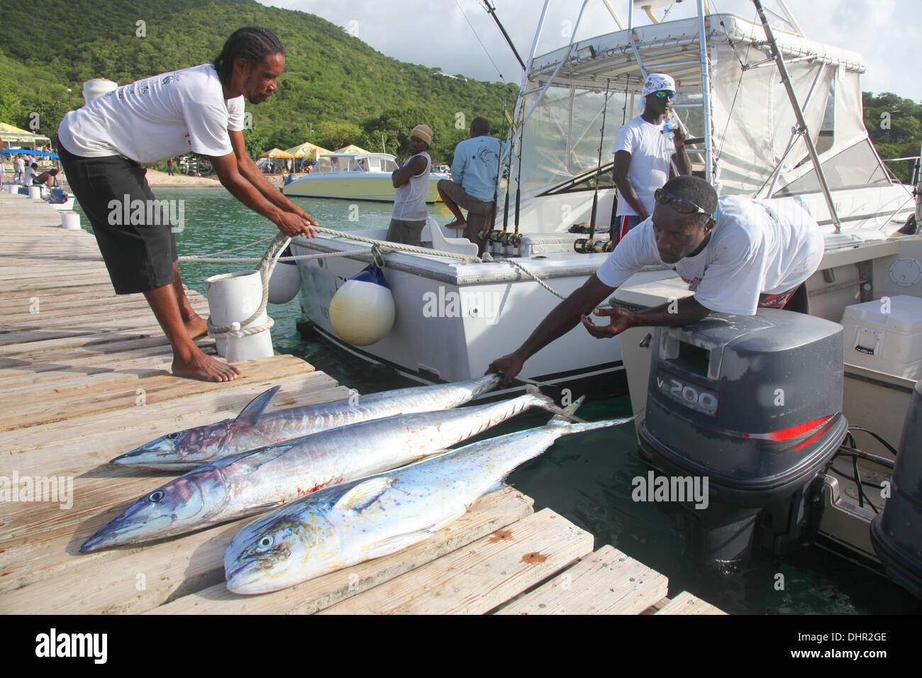 Sbarco delle catture di pesca in Nevis Caraibi Foto Stock