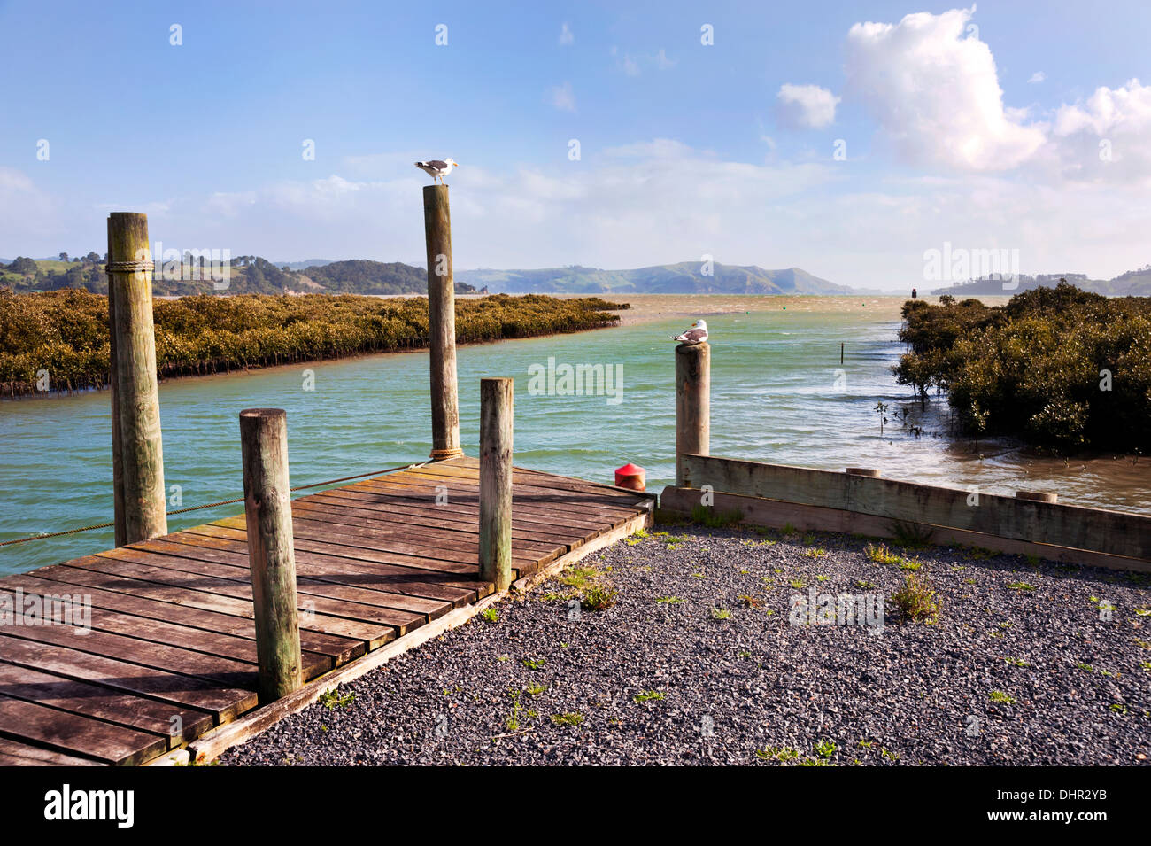La città di Coromandel, Isola del nord, Nuova Zelanda. Ingresso al piccolo porto. Foto Stock