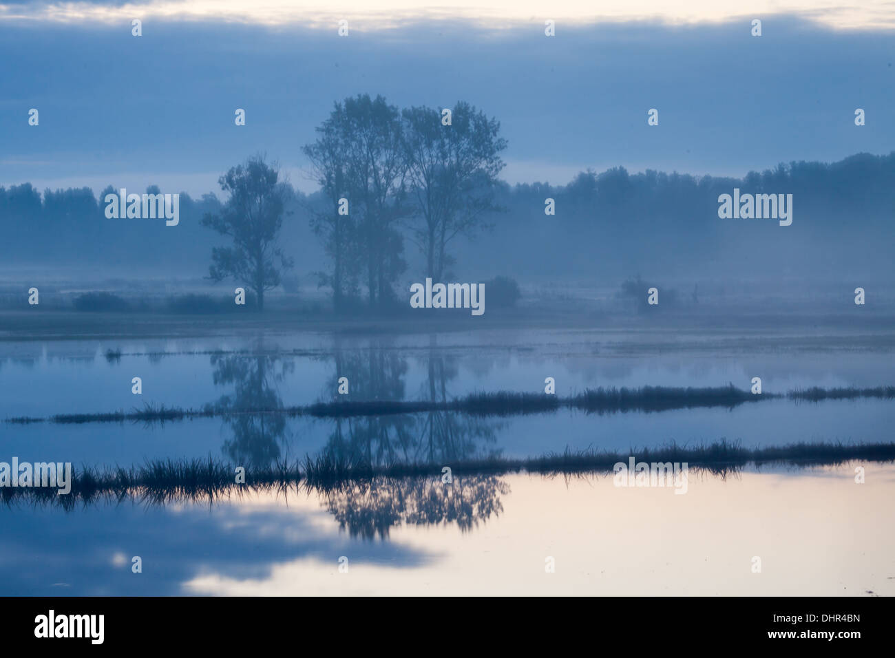 Avvolgimenti del fiume Biebrza, Polonia, Podlasie, sunrise Foto Stock