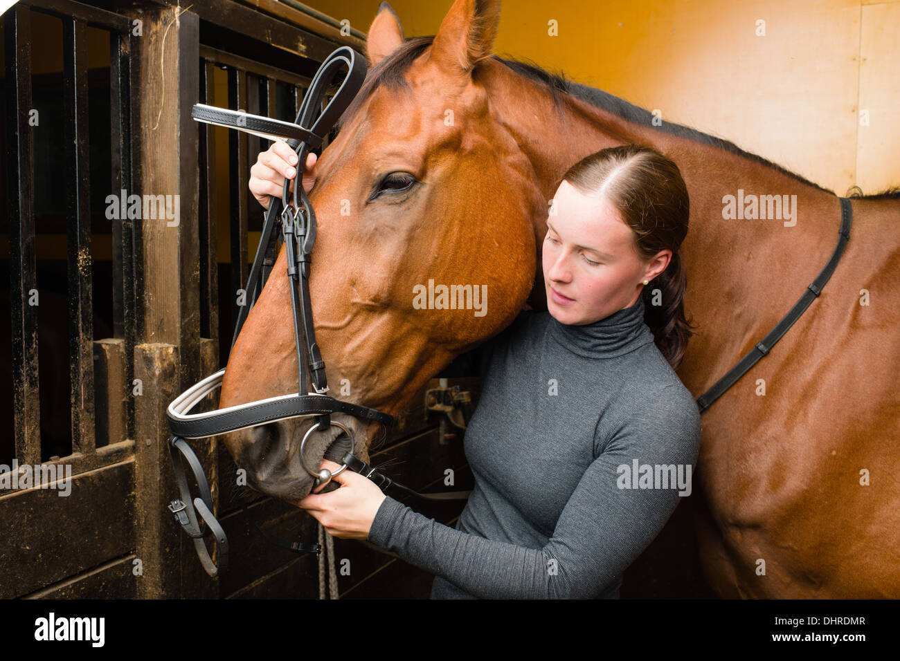 Donna briglia un cavallo in stallo Foto Stock
