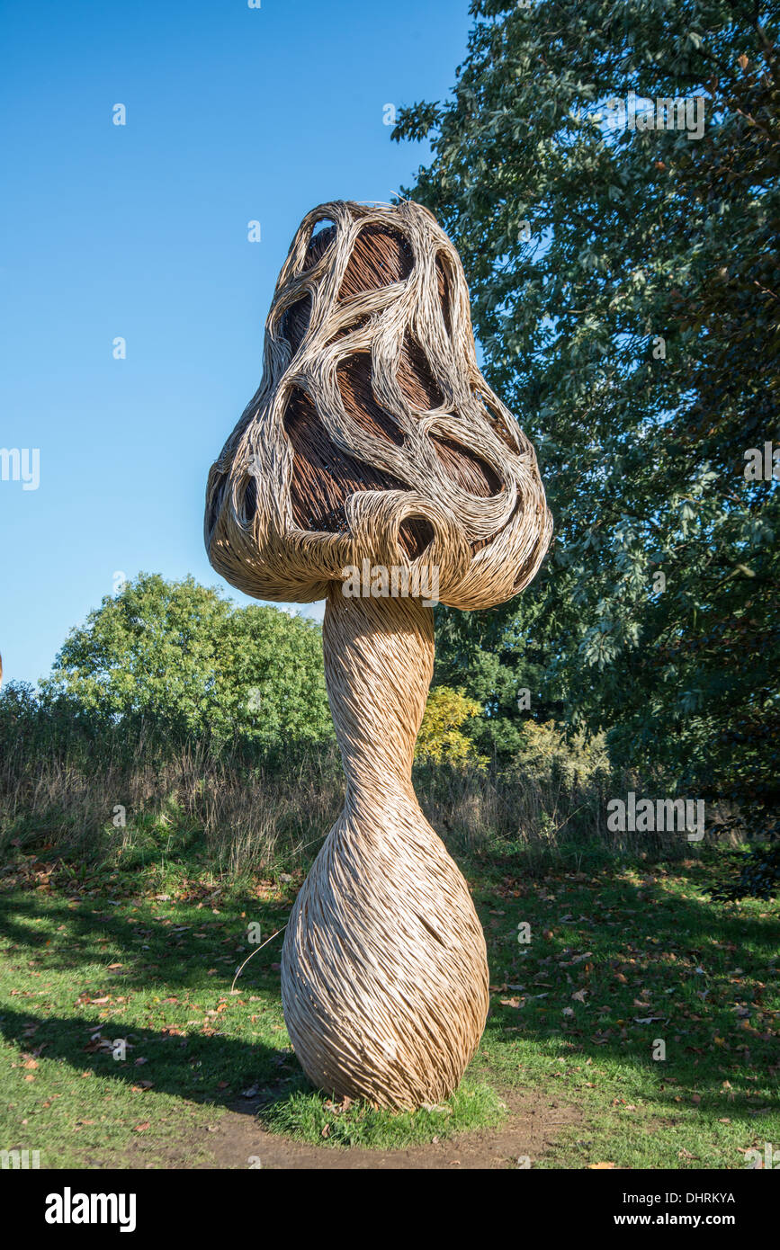 Fungo scultura (Morel) in willow da Tom lepre . I Giardini di Kew, Surrey, Inghilterra. Novembre, 2013 Foto Stock