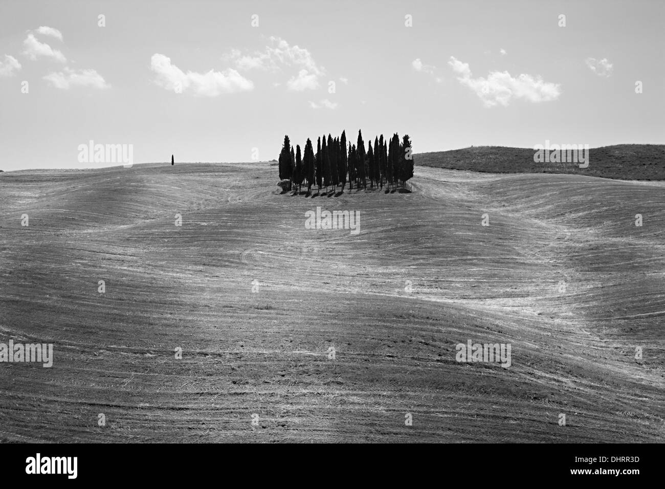 Toscana, San Quirico D'orcia, Italia Foto Stock
