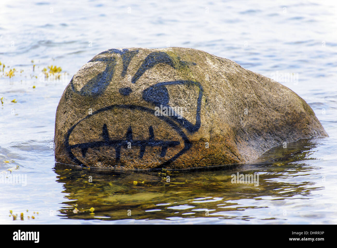 Boulder con un volto sulla spiaggia del Mar Baltico Foto Stock