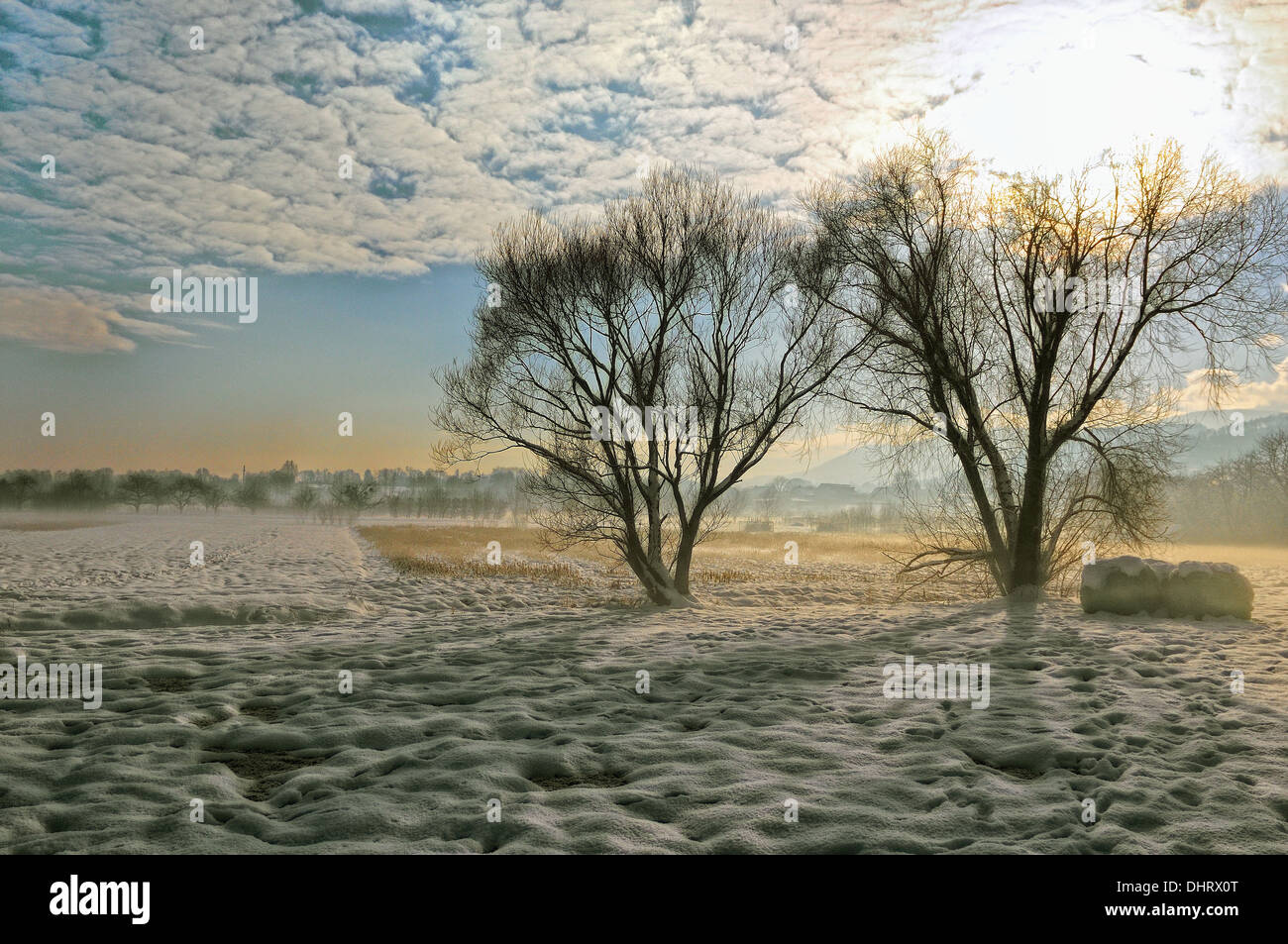 Inverno freddo giorno sotto la luce diretta del sole soft Foto Stock