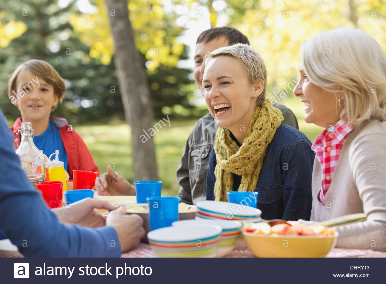 Famiglia godendo picnic nel parco Foto Stock