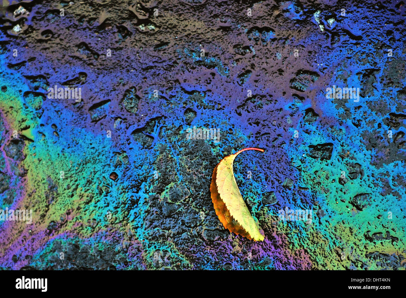 Autumn Leaf sulla fuoriuscita di benzina Foto Stock